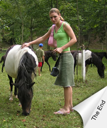 web design tutorials